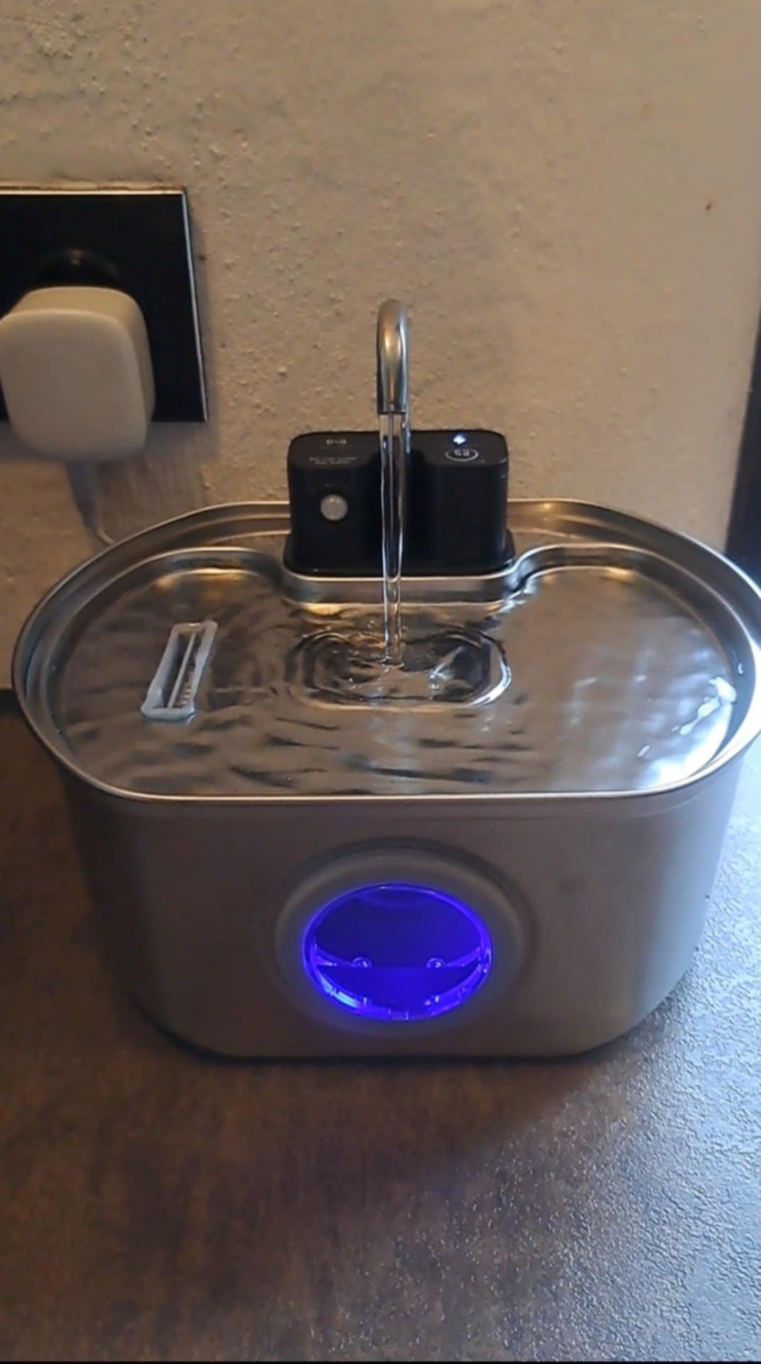 Stainless steel cat water fountain with blue light and gentle stream, placed on a countertop.