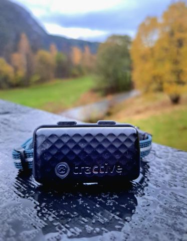 Tractive GPS tracker for cats placed on a wet surface outdoors on an autumn day.