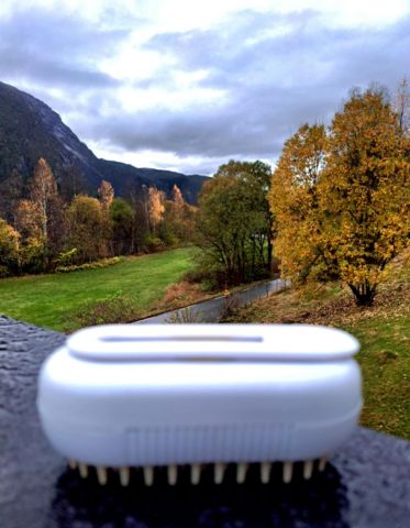 Soft steam, soft fur — peace in every stroke.