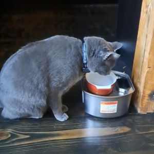 Untitled design (16)