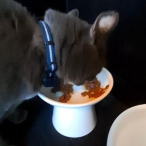 Untitled design (17)