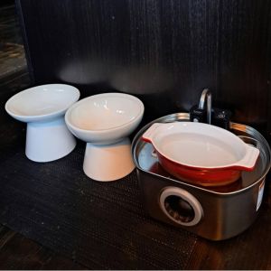 Untitled design (18)