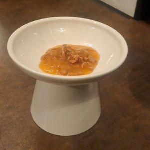 Untitled design (18)