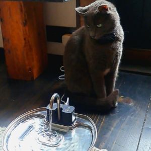 Untitled design (19)