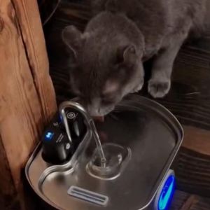 Untitled design (19)