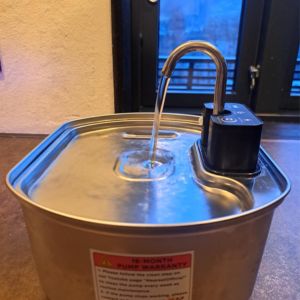 Untitled design (20)