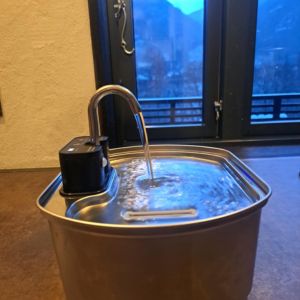 Untitled design (22)