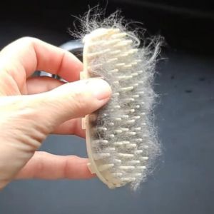 Eraldi harja karvadega osa 2